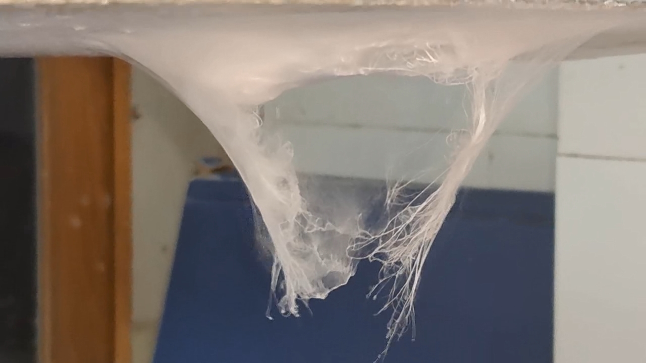 Electrospinning: Solutions of Polystyrene and Polyvinylidene Difluoride in Dimethylformamide